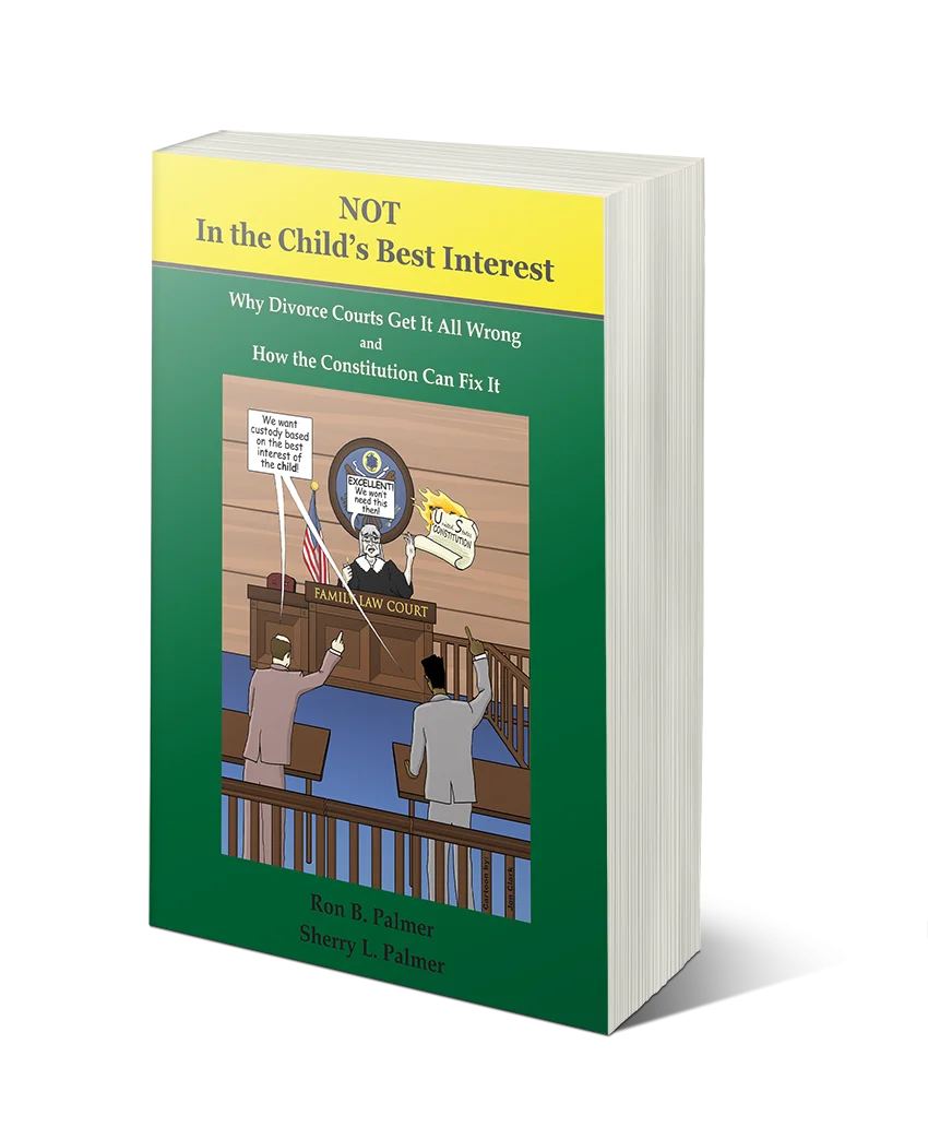 NOT In The Child's Best Interest 3D Cover