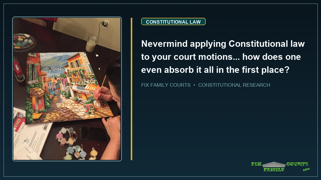 Nevermind applying Constitutional law to your court motions... how does one even absorb it all in the first place?