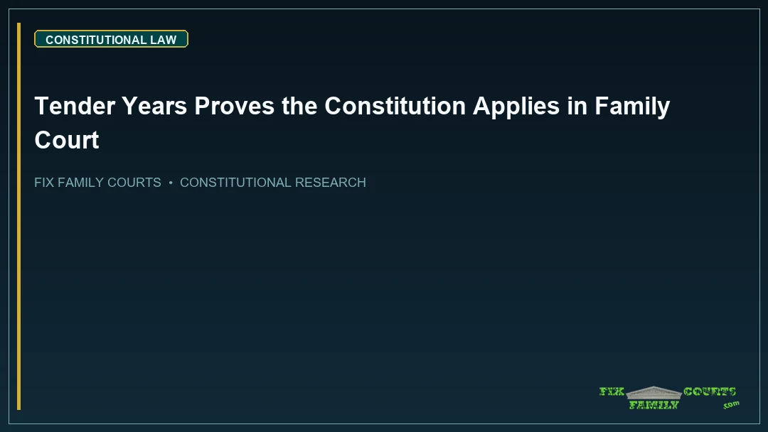 Tender Years Proves the Constitution Applies in Family Court