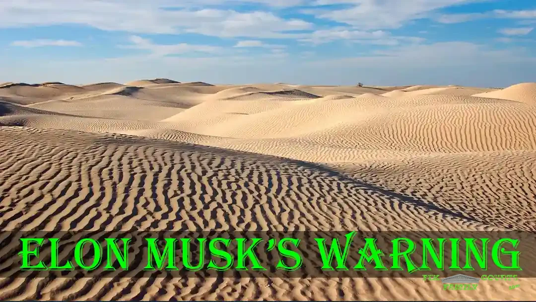 Elon Musk Warns We Over Regulate Families