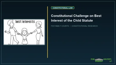 Constitutional Challenge on Best Interest of the Child Statute