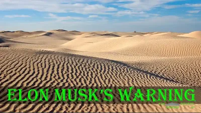 Elon Musk Warns We Over Regulate Families